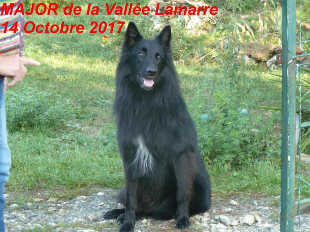 Major de la Vallée Lamarre