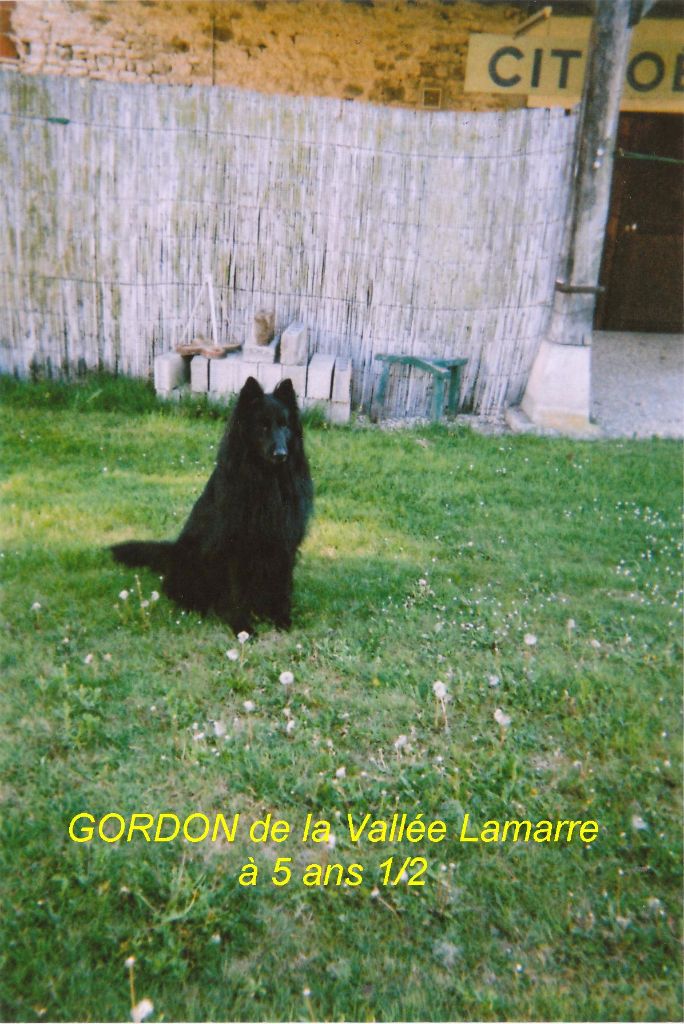 Gordon de la Vallée Lamarre