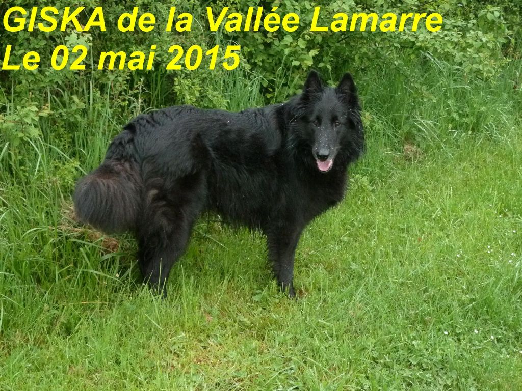 Giska de la Vallée Lamarre