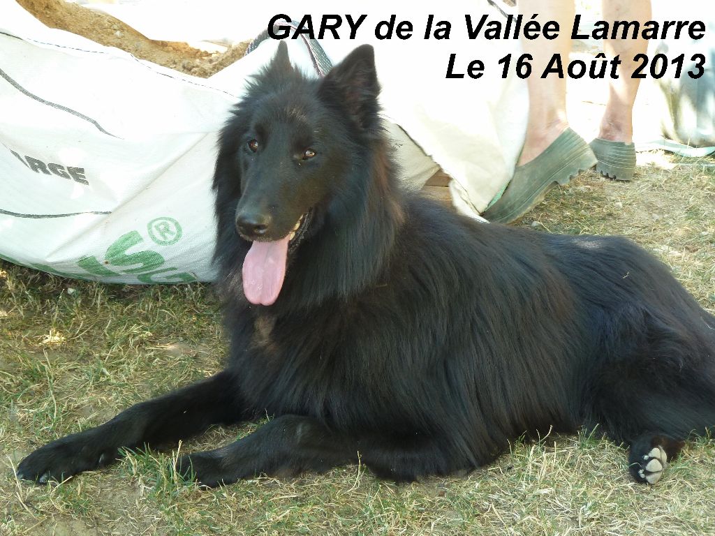 Gary de la Vallée Lamarre