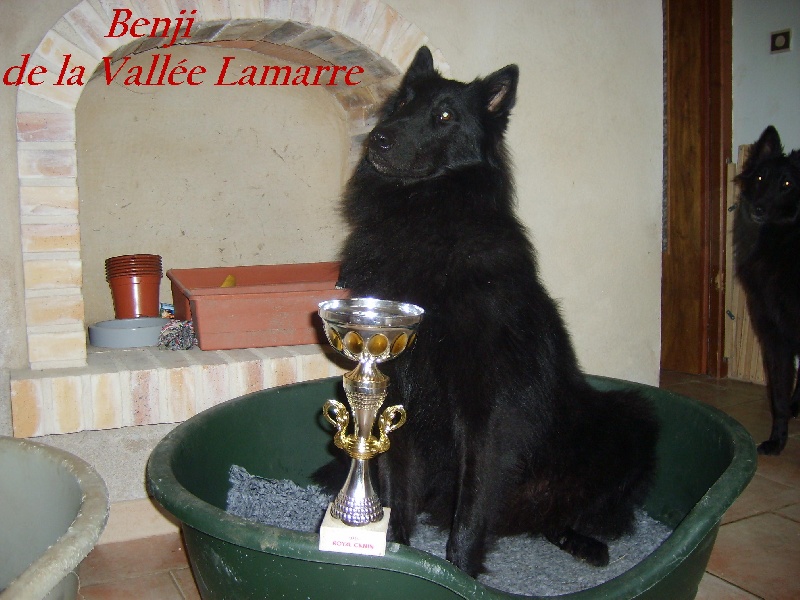 Benji de la Vallée Lamarre