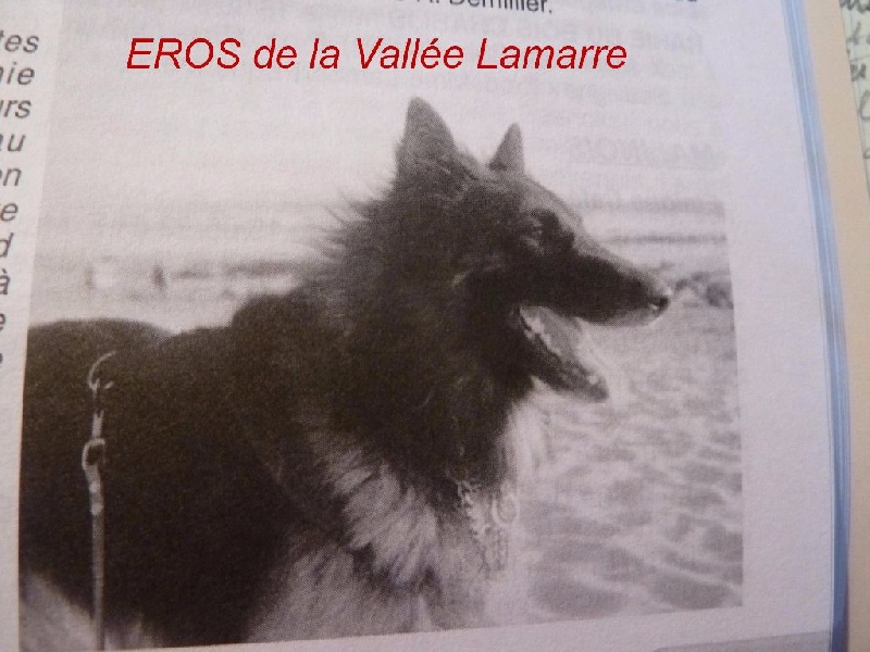Eros de la Vallée Lamarre