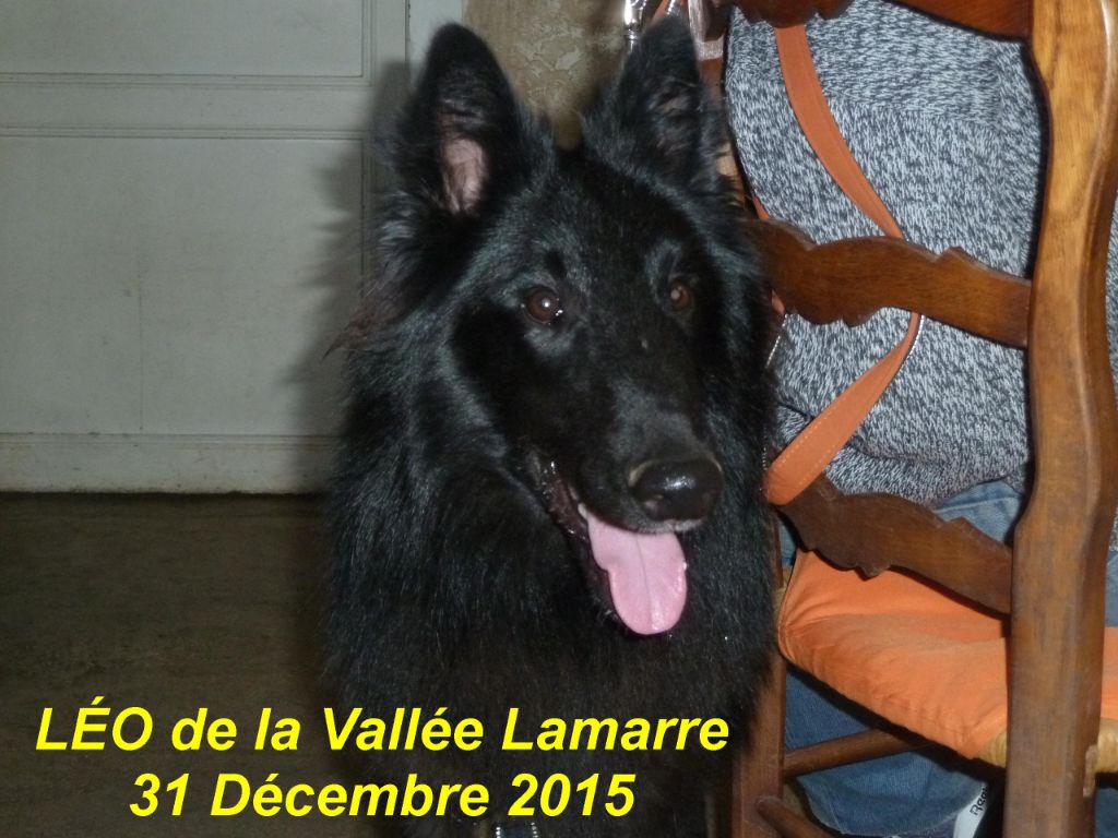 Léo de la Vallée Lamarre
